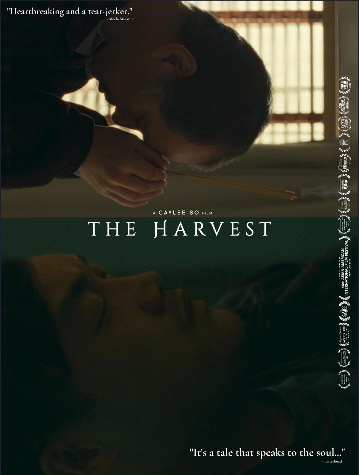 The Harvest